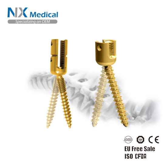 Picture of SF-I & II 6.0mm Spinal Pedicle Screw & Rod System