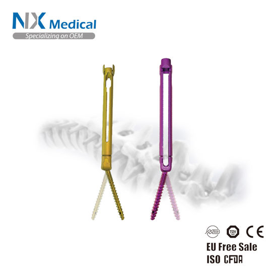 Picture of MIS 5.5mm Cannulated Bone Cement Pedicle Screw & Rod System