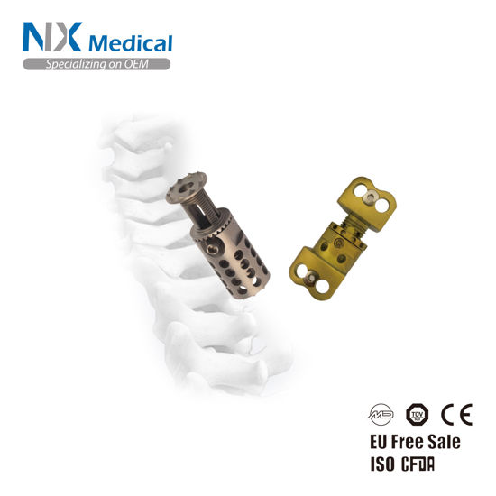 Picture of Cervical Expandable Cage I & II System